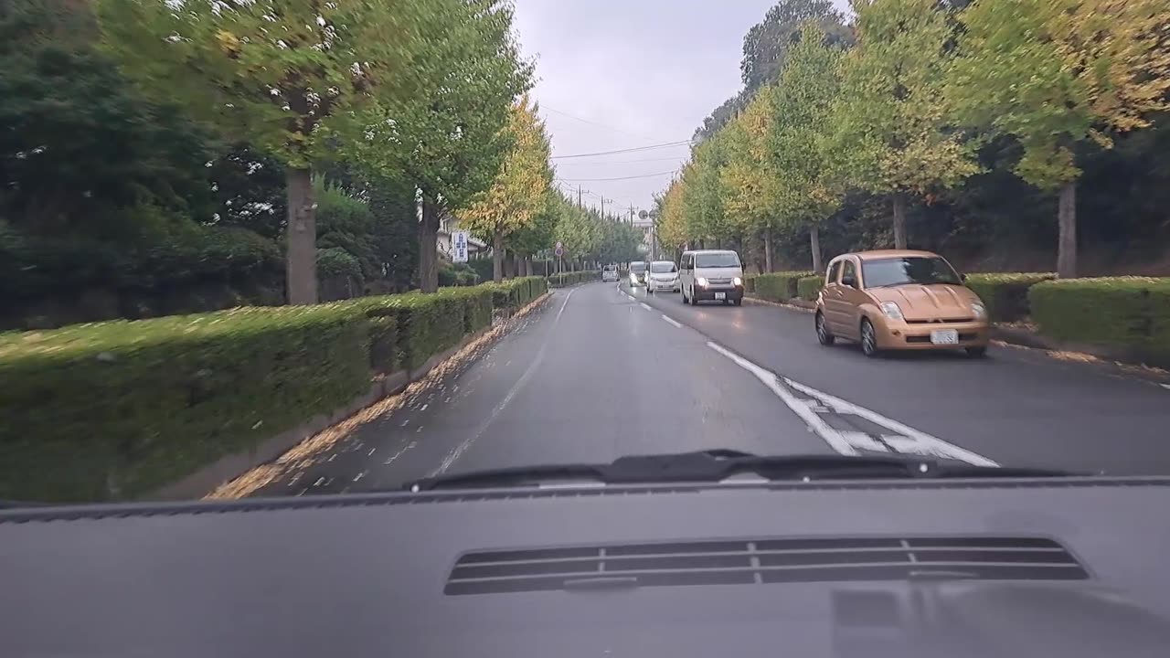 Driving around Japan in the rain, 2023-11 (3)