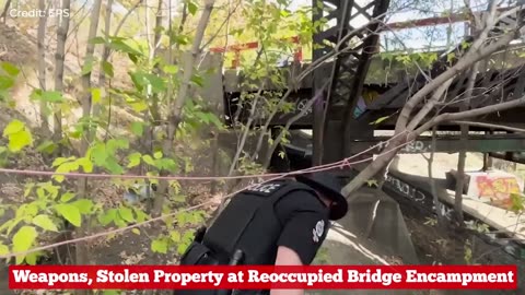 Edmonton Police Service find weapons, stolen property at reoccupied bridge encampment...