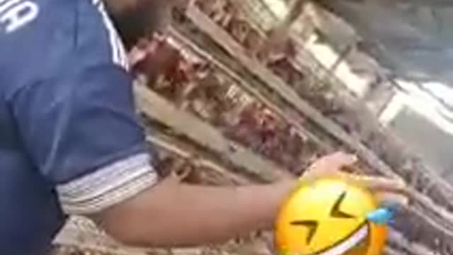 Farm tales! Happiness can be found anywhere despite whatever circumstances you are in