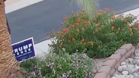 Sign Theif