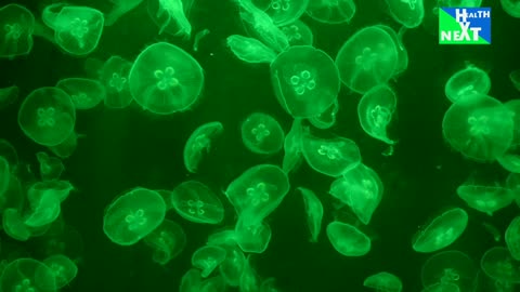 Balancing vaginal bacteria to prevent that fishy smell and infections.