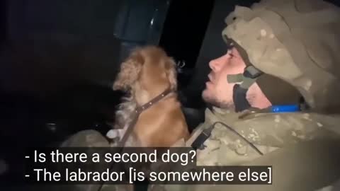 2022-04-10 Oekrainse soldaten geven zich over uit Azovstal met hond