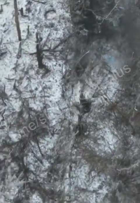 Drone of Ukrainian forces performs grenade drops on Russian soldiers