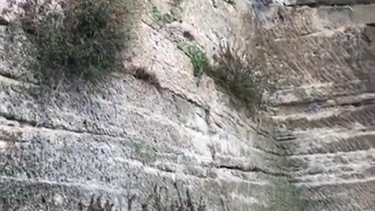 iBtsZjicjsEcrd7yji4sKp