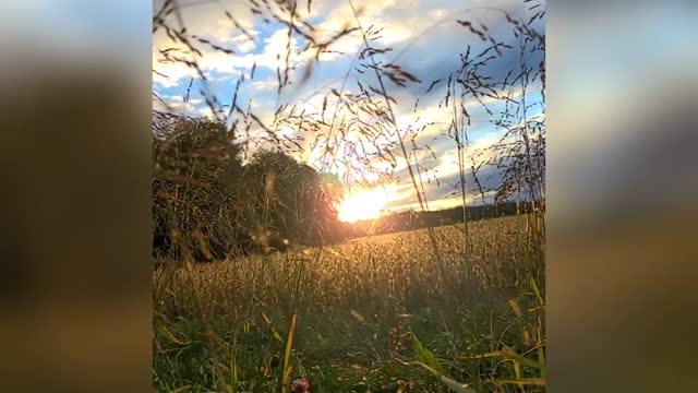 A Moment In Nature