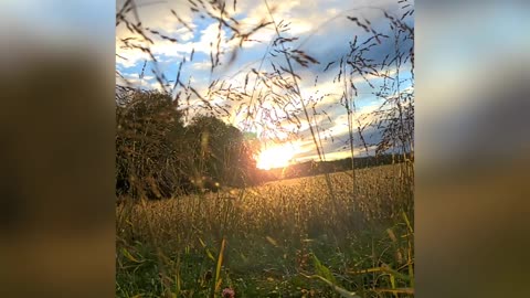 A Moment In Nature