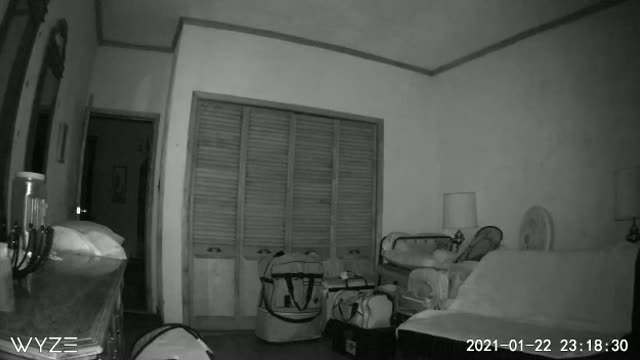 Wyze Security Cam Captures Orb #6