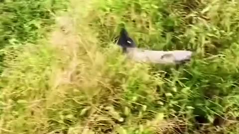 Fishing adventure