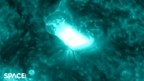 Comet Tsuchinshan-ATLAS photobombs SOHO spacecraft during powerful solar flare