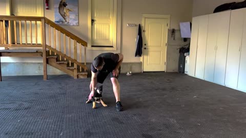 First Step to Training Your New Puppy!
