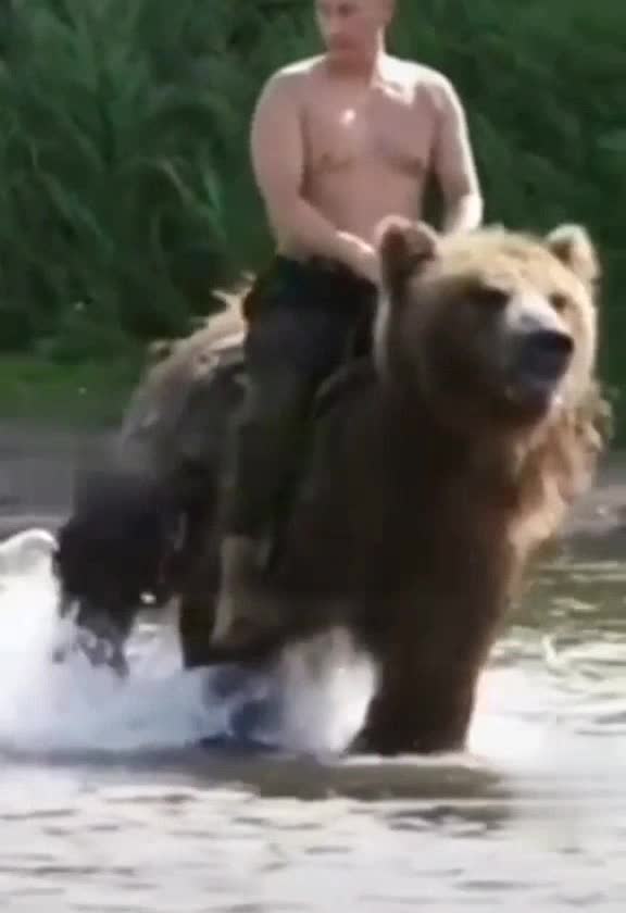 Putin, Vladimir, Zelensky Putin, President of Russia, Путин, Президент РФ,