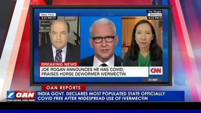 We are being lied to