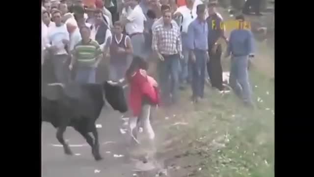 Don't mess with bulls