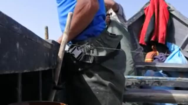 How To Catch A Large Bajo Royal Fish By Line