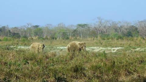 Exploring The Wildlife