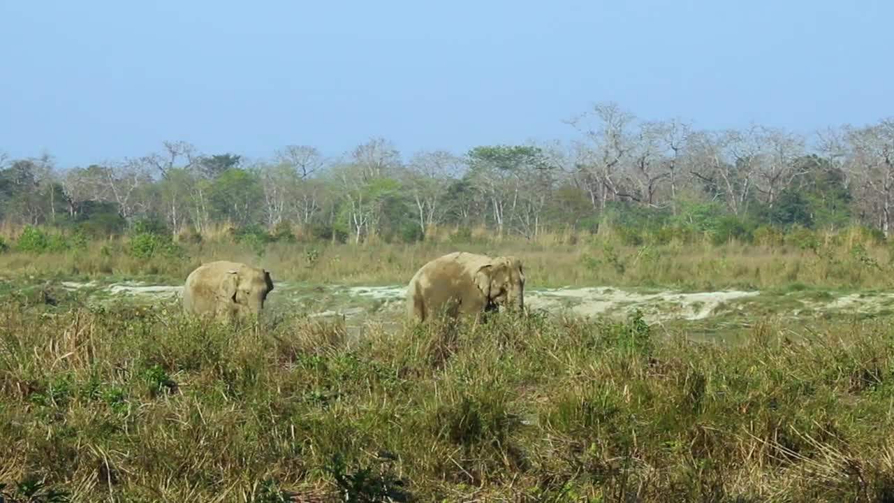 Exploring The Wildlife