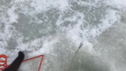 Fisherman Gives Mink a Proper Meal