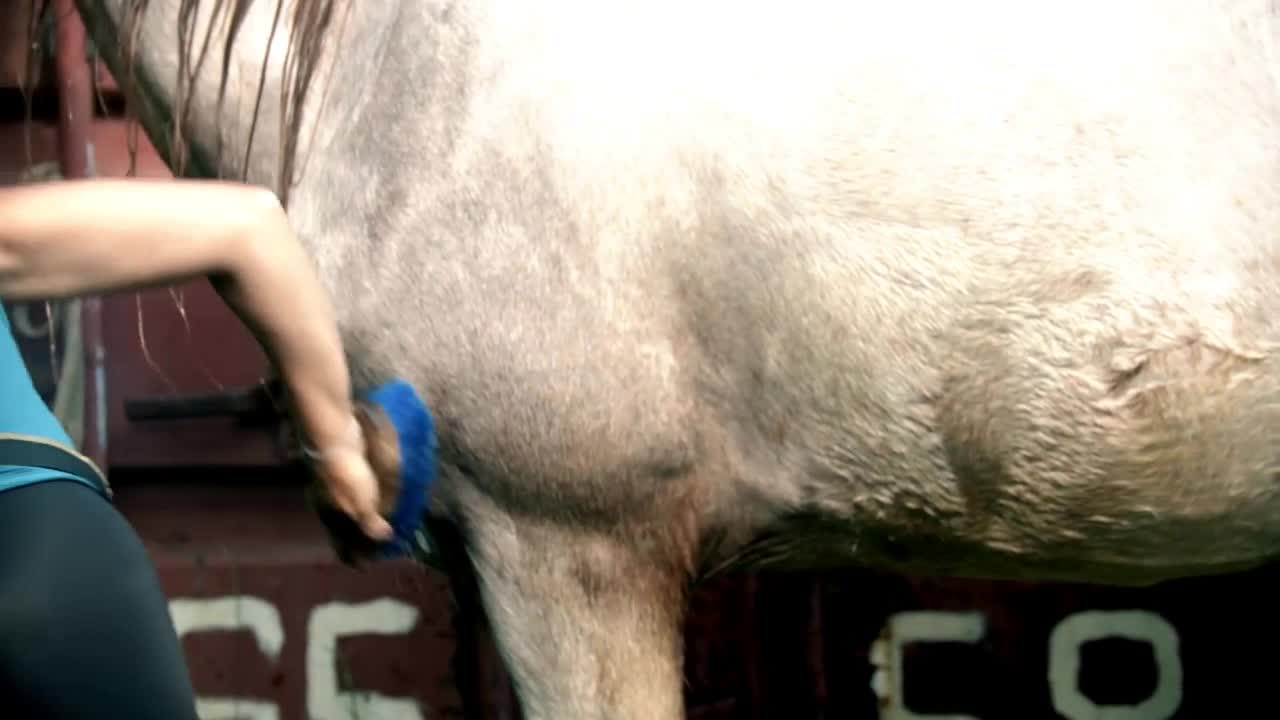 A woman washing white horse in the paddock