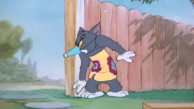 Tom & Jerry. Story with bird.