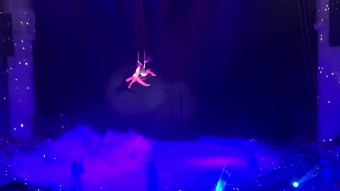 Acrobat falls during circus performance