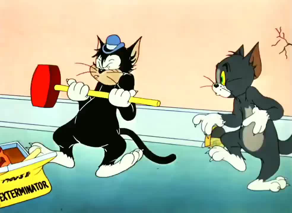 Funny Tom and Jerry cartoon videos, cartoon funny Video, kid's cartoon funny Video,