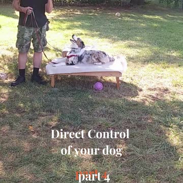 Ruff Cut PodCast Leash Handling part 4 cut 3