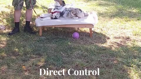 Ruff Cut PodCast Leash Handling part 4 cut 3