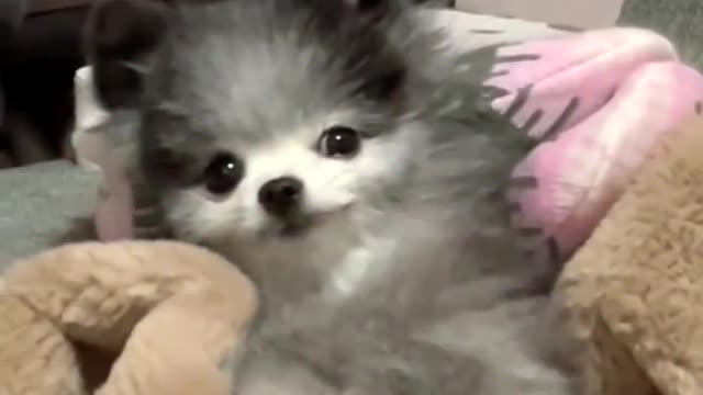Do I look cute to you