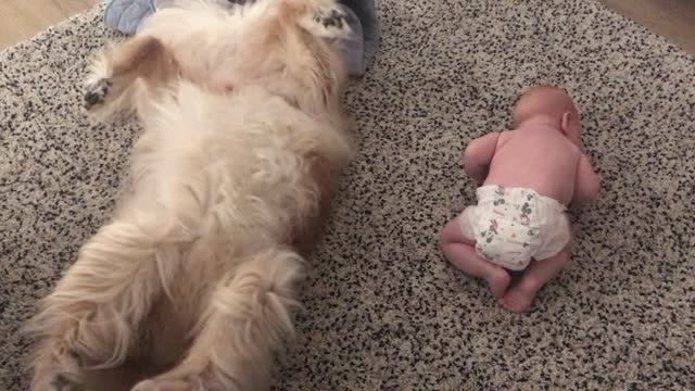 Dog Copies Baby Best Friend