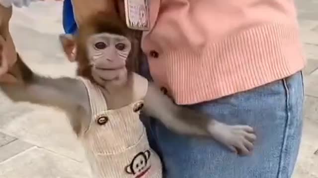 Hahaha, this little monkey wants a hug too