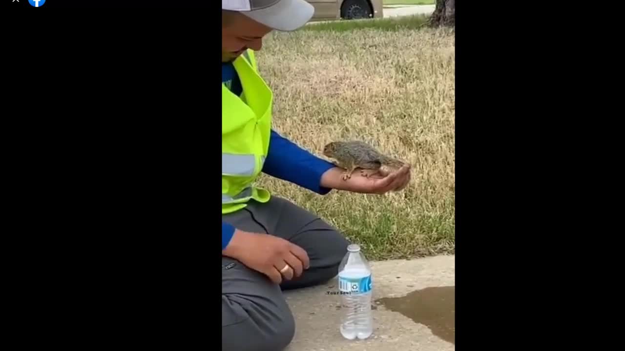 Rarescene of love between humans and animals