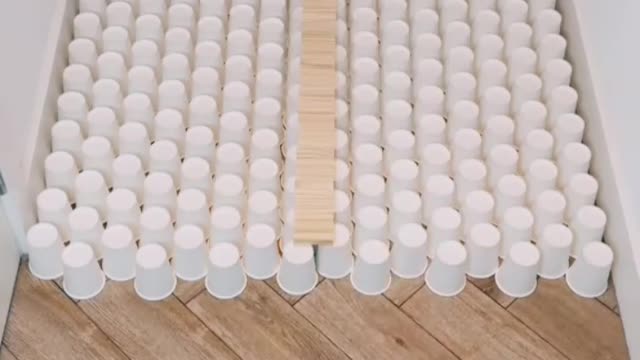 The most beautiful clips of animals #cuteanimals #funnyanimals