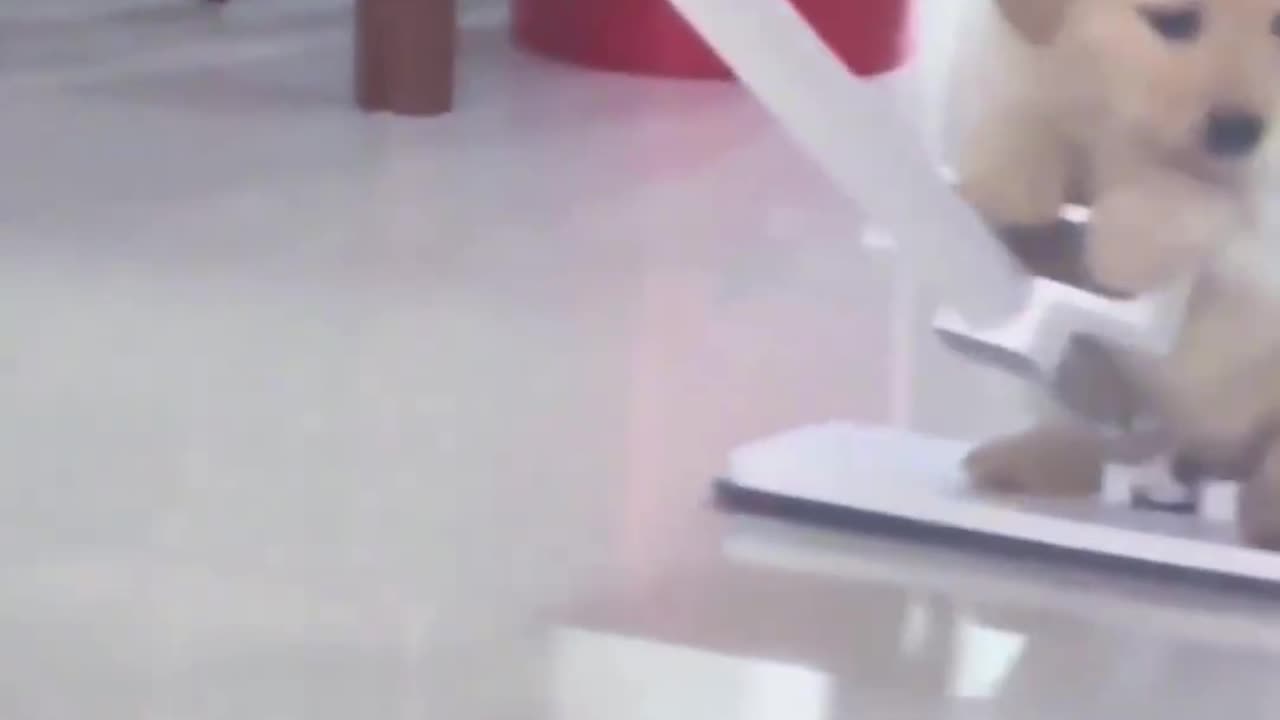 Let me rideπππ