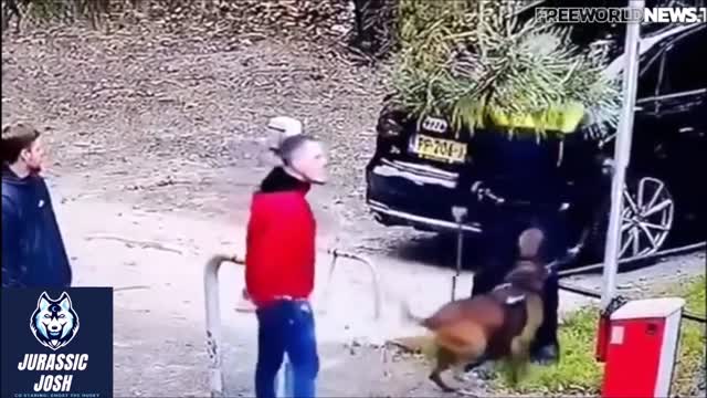 GOOD DOGGO HELPS INNOCENT MAN