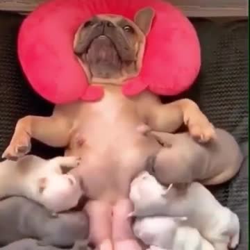 It’s not easy to be a mom