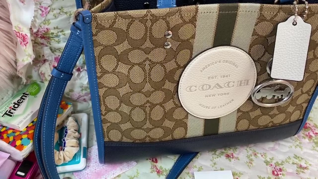 Updated What's in my Coach Dempsey Carryall.