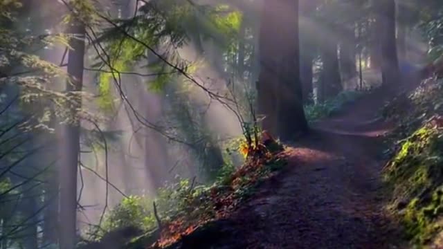 All sadness and gloom will turn into warm streamers "