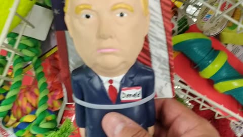 Trump/biden toy / Matt Ahn Talk Show