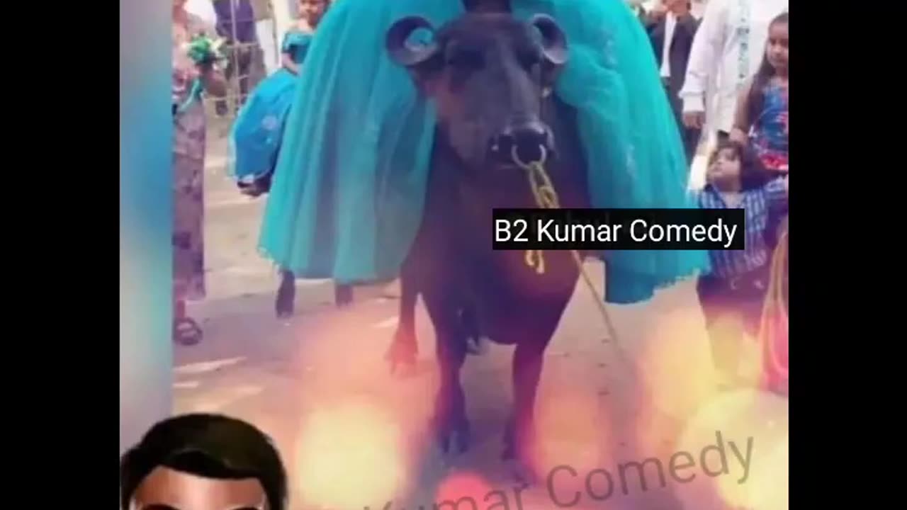 Comedy Vedio Must Watch