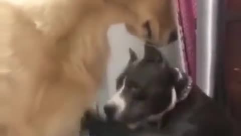 Share the most interesting video with you 14