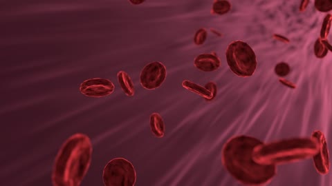 blood medical blood cells health blood donation