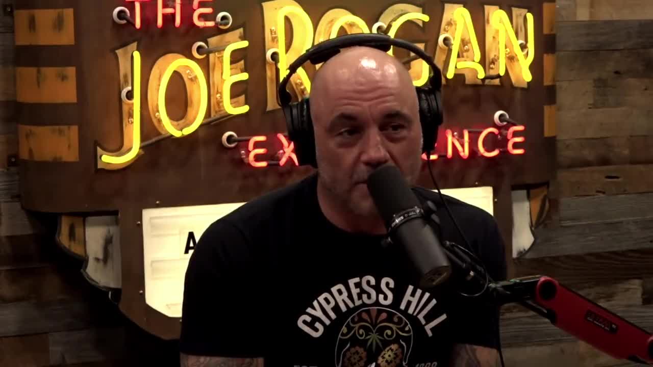 Joe Rogan rant on media personality, They are idiots. almost all of them personally