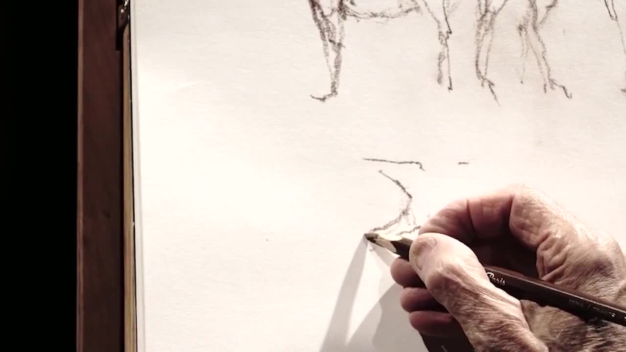 Draw The Legs Of A Zebra