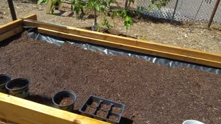 Raised Bed & New Walk Way Part 12!