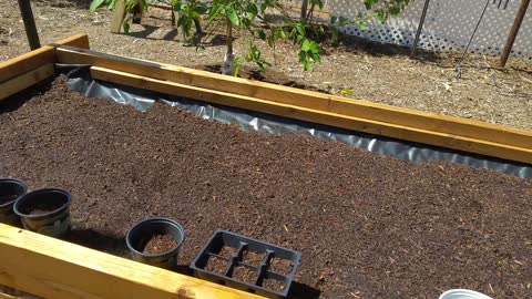 Raised Bed & New Walk Way Part 12!