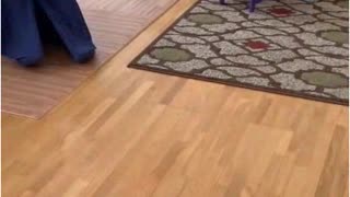 Pool Noodle Fight