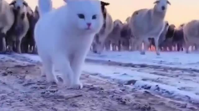 everything has spirituality