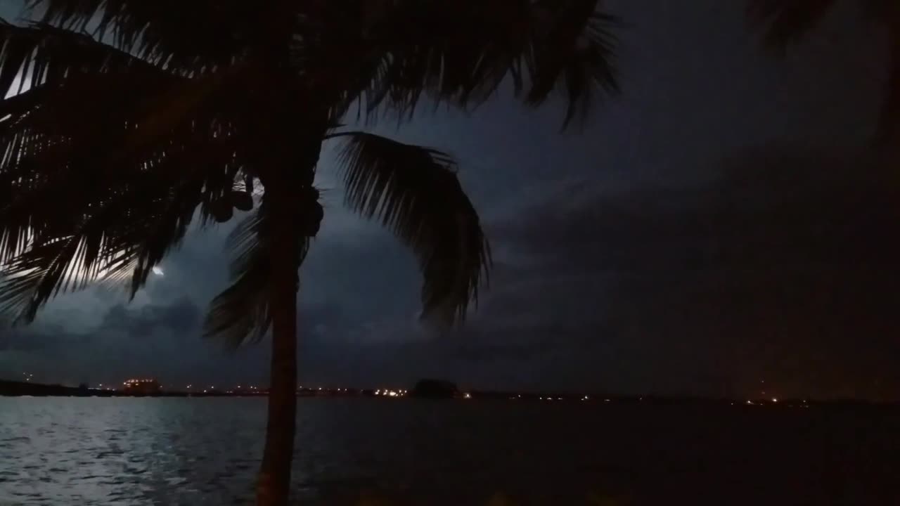 THE FLORIDA STORM