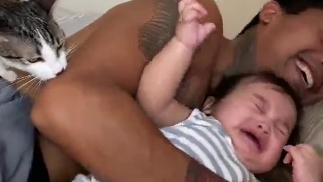 Look at the Cat, They Trying to Save The Baby From his Father