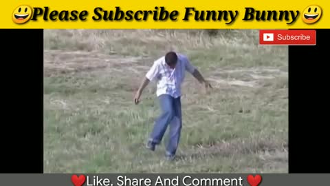 Watch the funniest bull videos😂😂😂😂😂